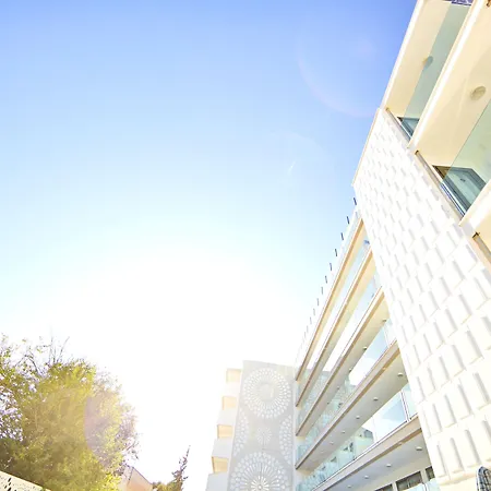 酒店 马略卡岛磨坊湾酒店 - 仅限成人