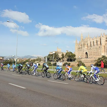 Hotel Indico Rock Mallorca - Adults Only