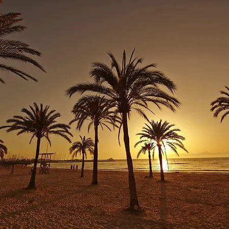 Indico Rock Mallorca - Adults Only Hotell