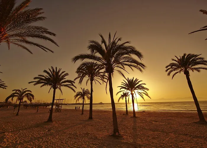 Indico Rock Mallorca - Adults Only Hotel