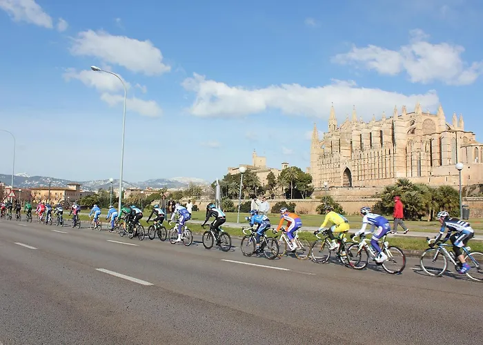 Hotel Indico Rock Mallorca - Adults Only